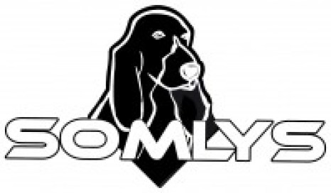 logo somlys3